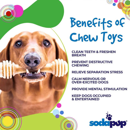 SodaPup- Honey Nylon Chew Bone