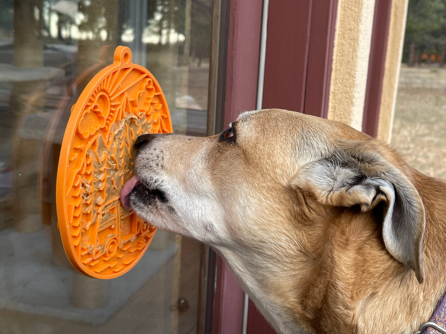 SodaPup- Camp eMat Enrichment Lick Mat With Suction Cups