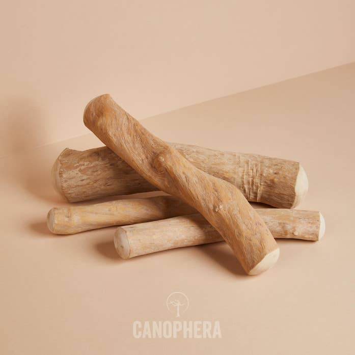 CANOPHERA- Coffee Wood Dog Chew Stick