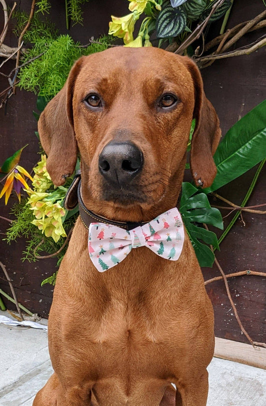 Koa's Ruff Life- Bow Tie - Christmas Tree