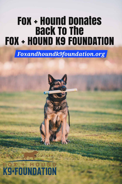 Fox + Hound- Odor Eliminator Soy Candle - Spiced Honey