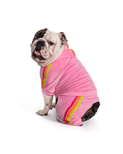 Fabdog- Pink Velour Dog Jogger