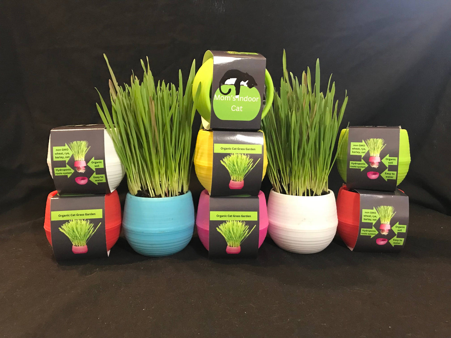 Mom’s Indoor Cat- Cat Grass Gardens