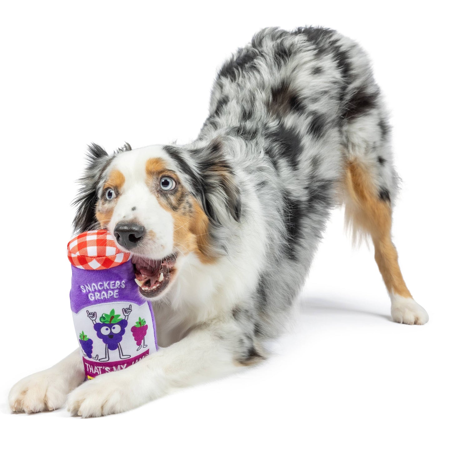 Huxley & Kent- Dog Toy - Snackers Grape Jam