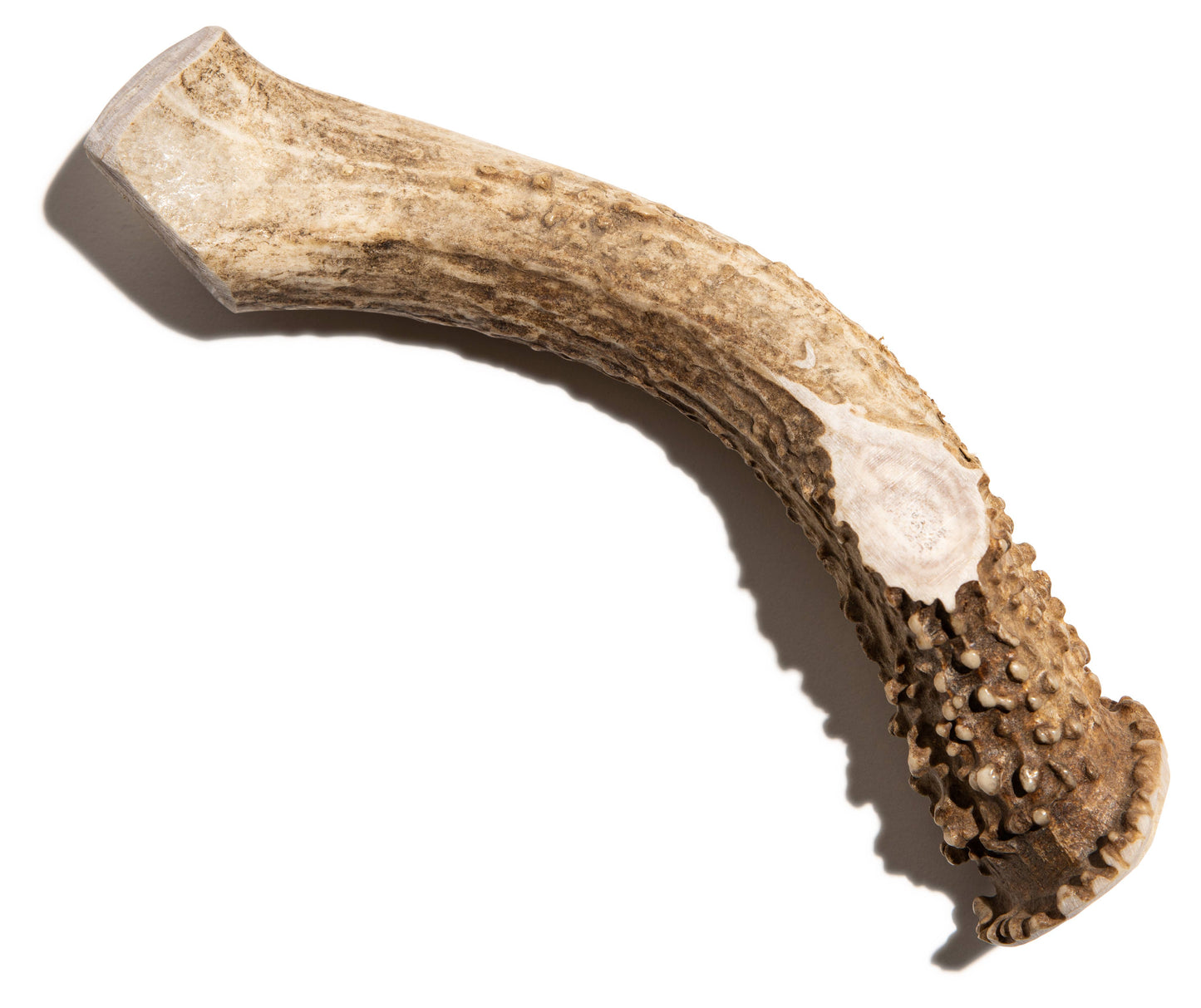 Woof Island- Deer Antler - XL Whole