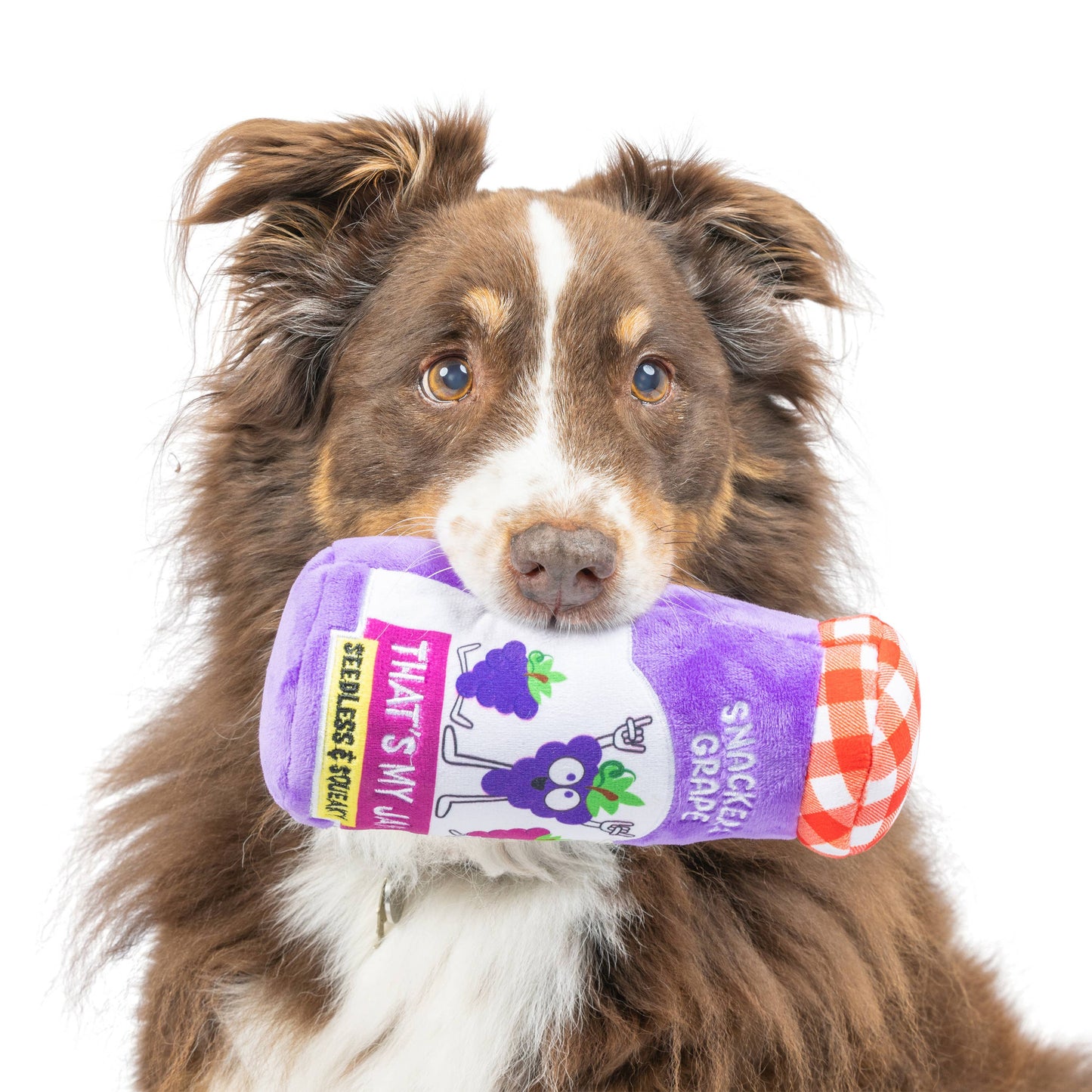 Huxley & Kent- Dog Toy - Snackers Grape Jam