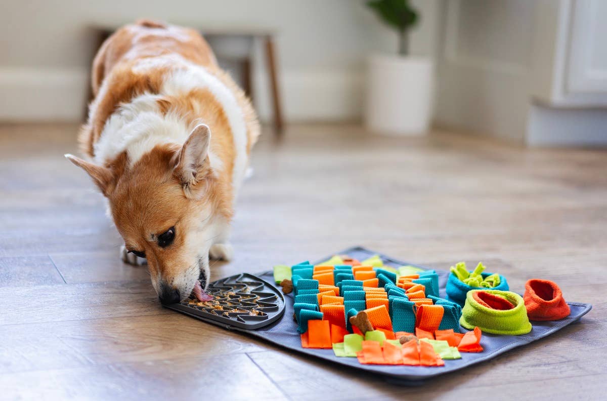 Messy Mutts- Square Forage/Snuffle Mat 16" with Suction