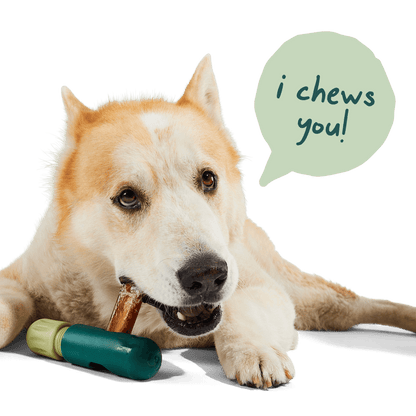 Woof- BullySafe Chews - Pure Collagen